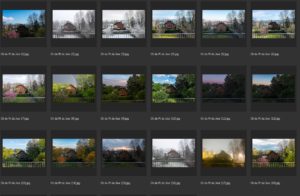 Read more about the article Culling similar images after a photoshoot: the rule of 8