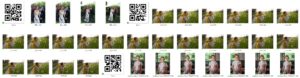 Read more about the article Don’t be a loser, use QR Codes with AI Photo culling software !